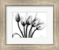 Framed Marching Tulips