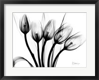 Framed Marching Tulips