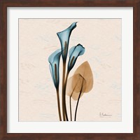 Framed Calla Lily Blue Brown