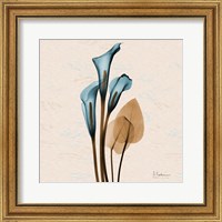 Framed Calla Lily Blue Brown