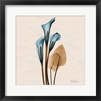 Framed Calla Lily Blue Brown