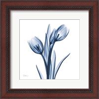 Framed Tulips Indigo