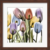 Framed Tulipscape
