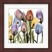 Framed Tulipscape