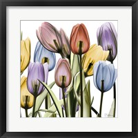 Framed Tulipscape