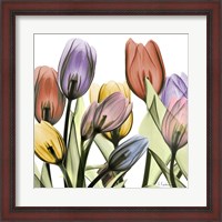 Framed Tulipscape 2