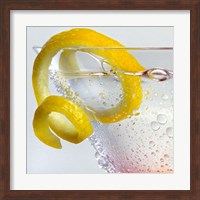 Framed Lemon Twist