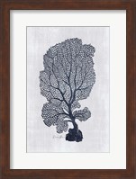 Framed Sea Fan 2