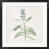 Framed Blue Botanical 1