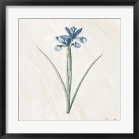 Framed Blue Botanical 2