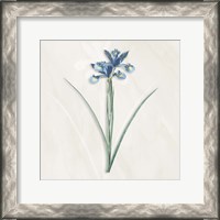 Framed Blue Botanical 2