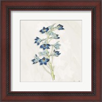Framed Blue Botanical 3