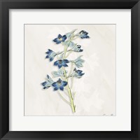 Framed Blue Botanical 3