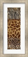 Framed Animal Prints