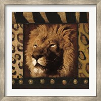 Framed Lion Bordered