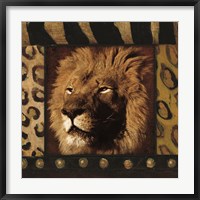 Framed Lion Bordered