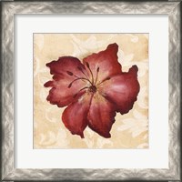 Framed Red Flower 1