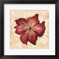 Red Flower 1 Framed Print
