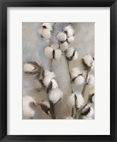 Framed Sprays of Cotton 1