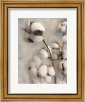 Framed Sprays of Cotton 2