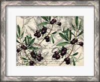 Framed Olive Branch 1