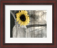 Framed Pop Of Yellow