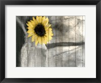 Framed Pop Of Yellow