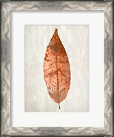 Framed Copper Leaves 1