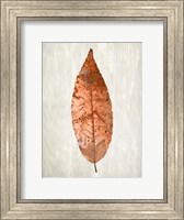 Framed Copper Leaves 1