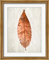 Framed Copper Leaves 1