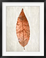 Framed Copper Leaves 1