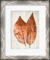 Framed Copper Leaves 2