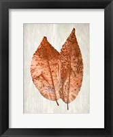 Framed Copper Leaves 2