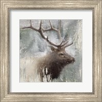 Framed Wildlife 2