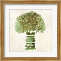 Framed Broccoli