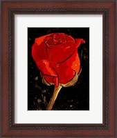 Framed Golden Rose