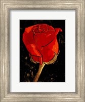 Framed Golden Rose