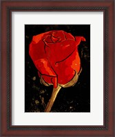 Framed Golden Rose