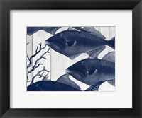 Framed Blue Fish