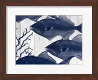 Framed Blue Fish