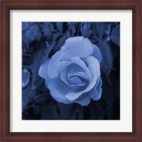 Framed Blue Flower 2