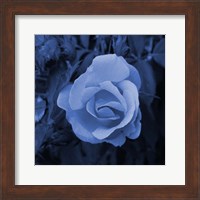 Framed Blue Flower 2