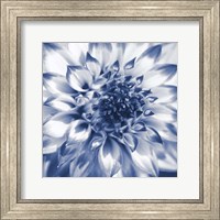 Framed Navy Dahlia 2