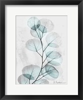 Framed Eucalyptus Glow 3