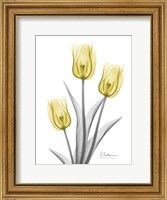 Framed Illuminating Tulip Trio 2