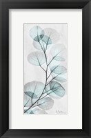 Framed Eucalyptus Glow 1