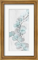 Framed Eucalyptus Glow 2