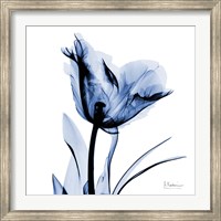 Framed Indigo Softened Tulip