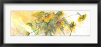 Framed Sun Kissed Sunflowers