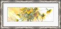 Framed Sun Kissed Sunflowers